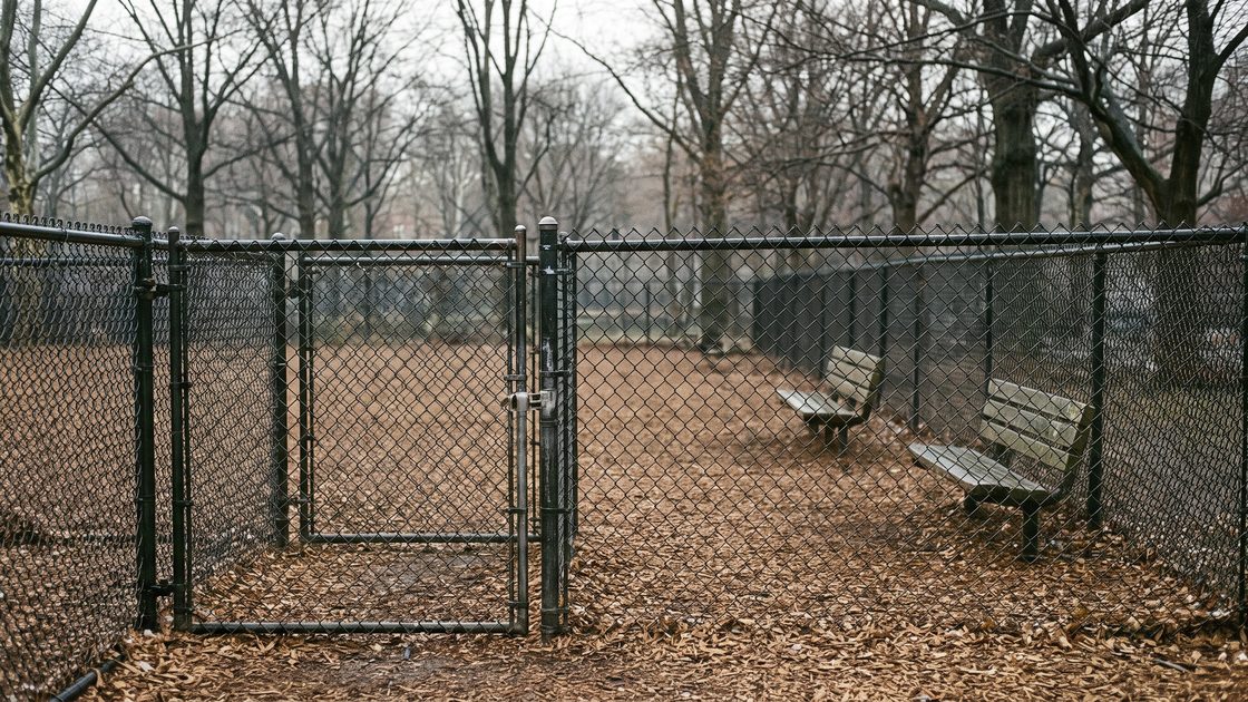 An empty fenced dog run in a city park with a double-gate entry, benches and bare trees